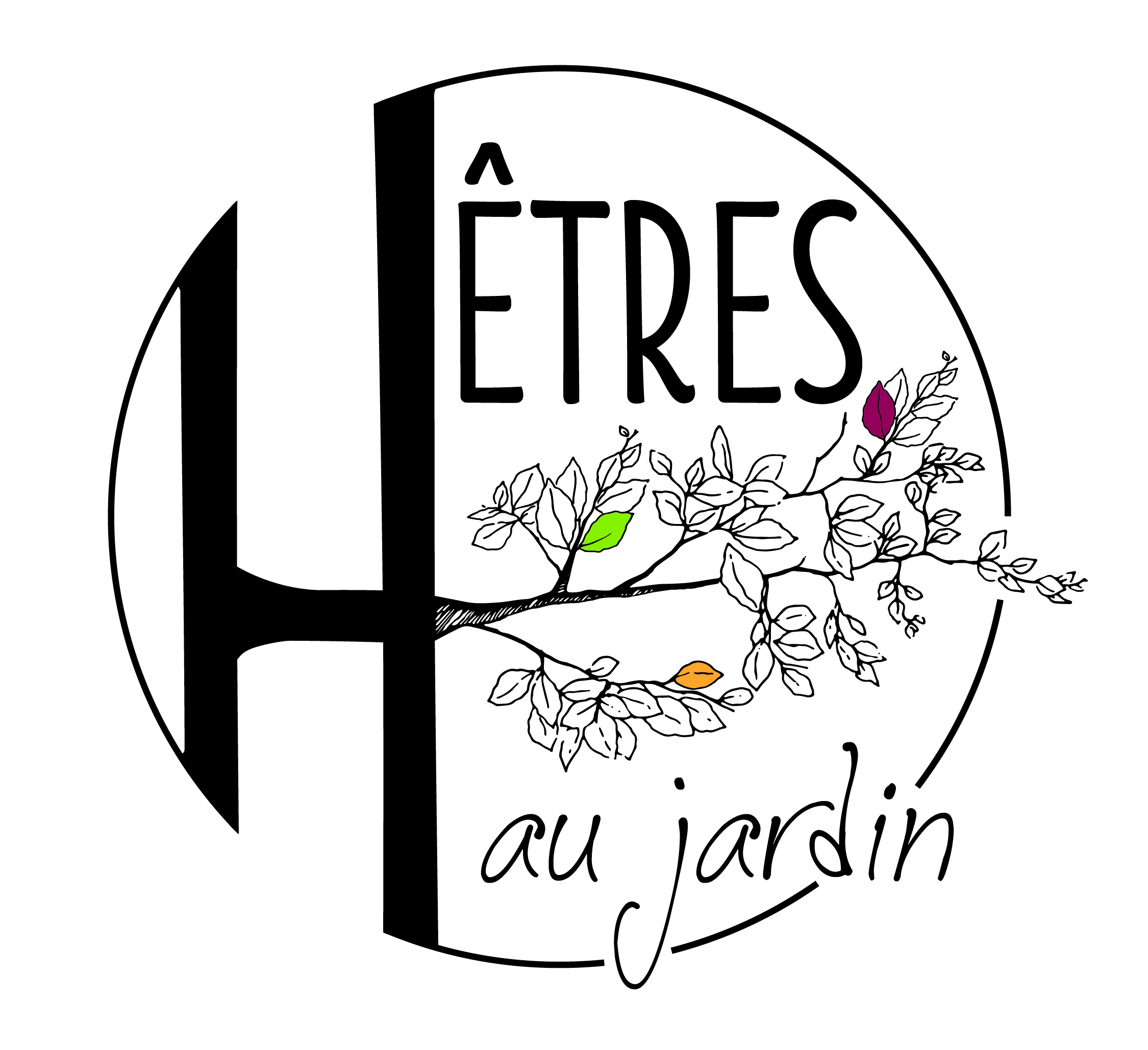 Hêtres au jardin